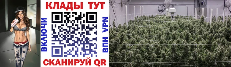 Наркотические вещества Вытегра Амфетамин Меф ГАШ Alpha-PVP